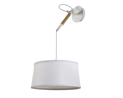 Бра F-Promo 3005-1P Eureka 1*E27*60W D300*H600мм