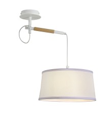 3005-1P, настенно-потолочный светильник, D300xH600, 1xE27x60W, excluded