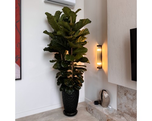 Бра Favourite 4093-2W Trompa 2*E27*60W D140*W110*H575мм