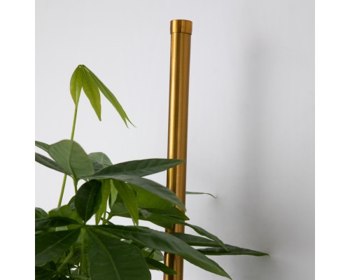 4050-2W, настенный светильник, D210xW120xH800, LEDx12W, 3780LM, 3000K