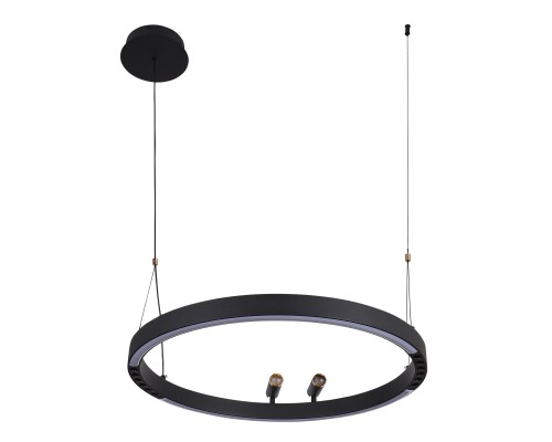 Подвесная люстра F-Promo 4474-1P Slinga LED*58W + 2*LED*3W, 1860LM, 3000-6500K, пульт D600*H1000/1800мм