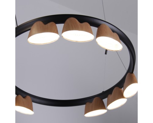 Подвесная люстра Favourite 4266-21P Interline LED*95W, 4085LM, 4000K L875*W600*H400/1610мм