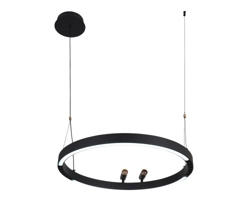 Подвесная люстра F-Promo 4474-1P Slinga LED*58W + 2*LED*3W, 1860LM, 3000-6500K, пульт D600*H1000/1800мм