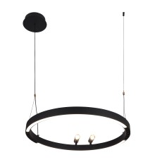 4474-1P, подвесная люстра, D600xH1000/1800, LEDx58W + 2xLEDx3W, 1860LM, 3000-6500K, included, remote control