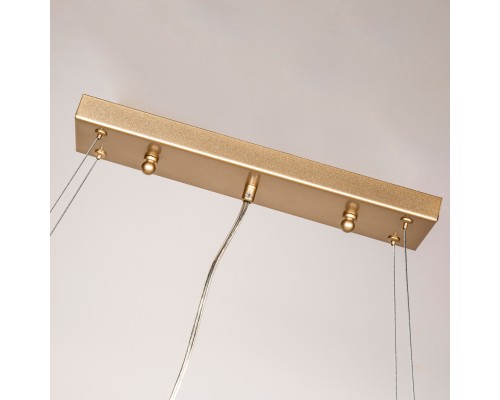 Подвесная люстра Favourite 3056-10P Brillo 10*E14*40W L1200*W500*H450/1950мм