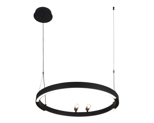Подвесная люстра F-Promo 4474-1P Slinga LED*58W + 2*LED*3W, 1860LM, 3000-6500K, пульт D600*H1000/1800мм