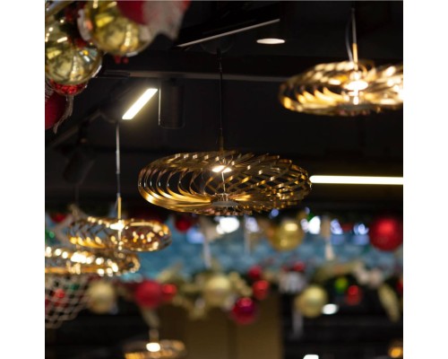 Подвесная люстра Favourite 4679-1P Spring LED*6W, 500LM, 3000K D400*H325/2700мм