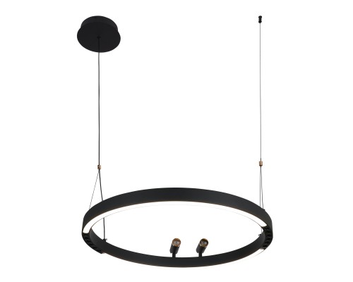 Подвесная люстра F-Promo 4474-1P Slinga LED*58W + 2*LED*3W, 1860LM, 3000-6500K, пульт D600*H1000/1800мм