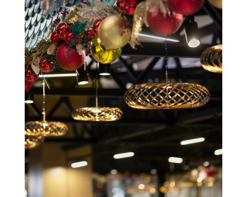 Подвесная люстра Favourite 4679-1P Spring LED*6W, 500LM, 3000K D400*H325/2700мм