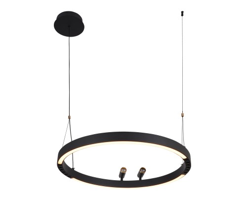 Подвесная люстра F-Promo 4474-1P Slinga LED*58W + 2*LED*3W, 1860LM, 3000-6500K, пульт D600*H1000/1800мм
