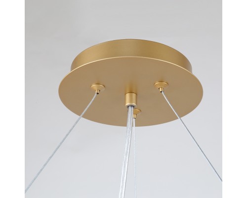 Подвесная люстра Favourite 4080-10P Ginkoa 10*G9*40W D820*H320/1000мм