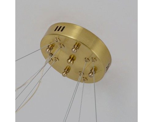 Подвесная люстра Favourite 4012-12P Placerat LED*40W + LED*20W, 4800LM, 3000-6000K, remote control D800*H320/1820мм