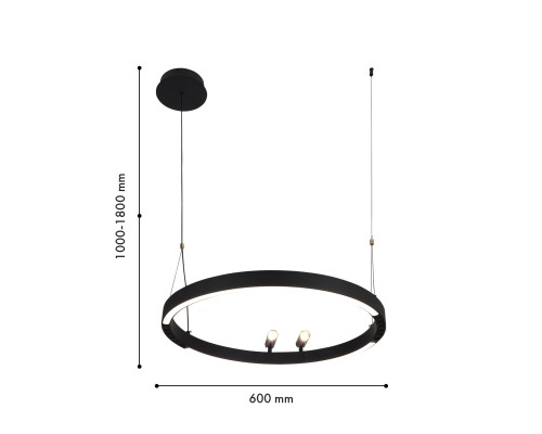 Подвесная люстра F-Promo 4474-1P Slinga LED*58W + 2*LED*3W, 1860LM, 3000-6500K, пульт D600*H1000/1800мм