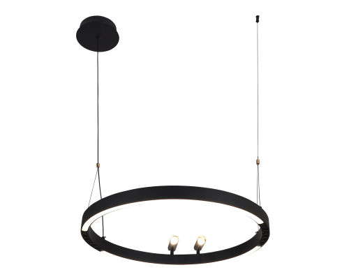 Подвесная люстра F-Promo 4474-1P Slinga LED*58W + 2*LED*3W, 1860LM, 3000-6500K, пульт D600*H1000/1800мм