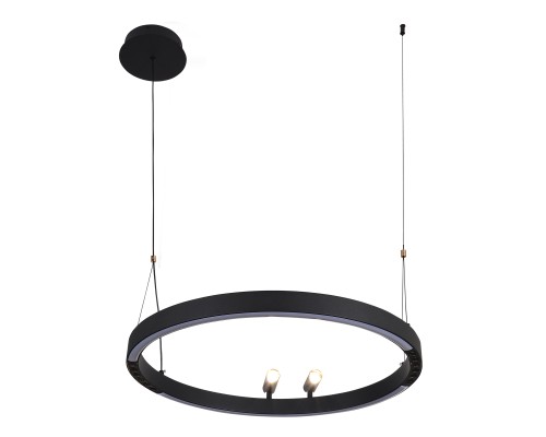 Подвесная люстра F-Promo 4474-1P Slinga LED*58W + 2*LED*3W, 1860LM, 3000-6500K, пульт D600*H1000/1800мм