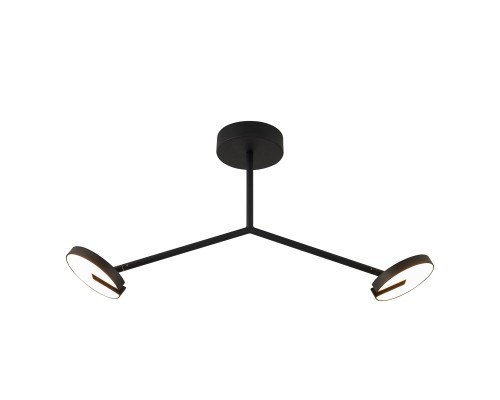 Потолочная люстра Favourite 4401-2C Paritet 2*LED*12W, 2100LM, 3000K, IP20 L775*W160*H360мм