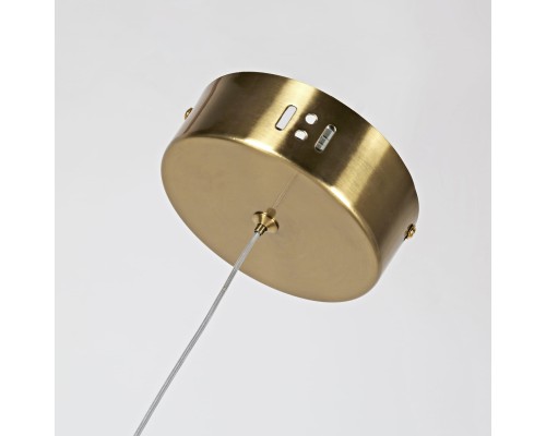 Подвес Favourite 2642-1P Conceptus 1*LED*19W, 1520LM, 3000K D120*H600/1600мм