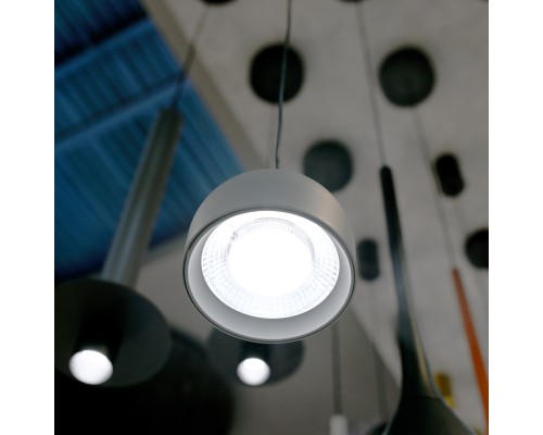 Подвес Favourite 4512-1P Astern LED*8W, 850LM, 4000K, IP20, CRI>90 D80*H140/1800мм