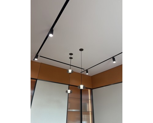 Подвес Favourite 4642-1P Claros LED*6W, 630LM, 4000K D150*H245/1445мм