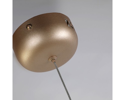 Подвес Favourite 2217-1P Tibia 1*LED*3W, 150LM, 4000K D30*H450/1500мм