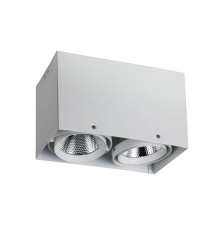 1986-2U, потолочный светильник, L265xW140xH160, COB 2xLEDx12W, RA>80, BEAM ANGLE:24°, 1920LM, 4000K, included