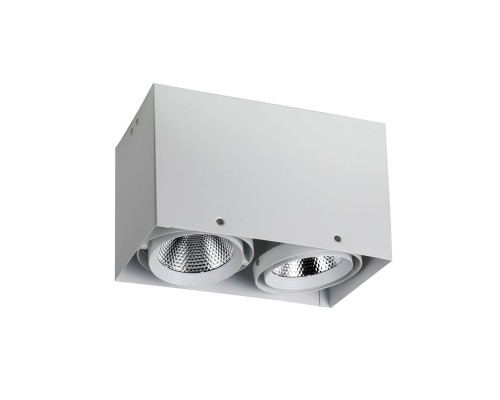 1986-2U, потолочный светильник, L265xW140xH160, COB 2xLEDx12W, RA>80, BEAM ANGLE:24°, 1920LM, 4000K