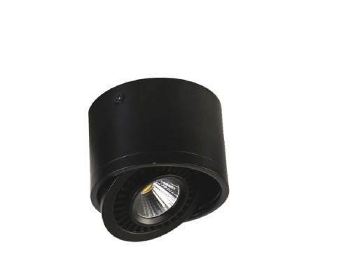 1779-1C, потолочный светильник, D112xH85, 1xLEDx12W, AC:100-240V, 960LM, RA>80, IP21, 960LM, 4000K