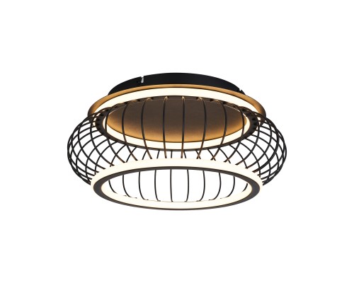 Потолочный светильник F-Promo 4435-2C Korg LED*40W, 4300LM, 3000-6000K, пульт D400*H210мм