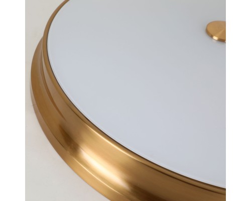 Потолочный светильник Favourite 2375-5C Pannikin 5*E27*40W D550*H120мм