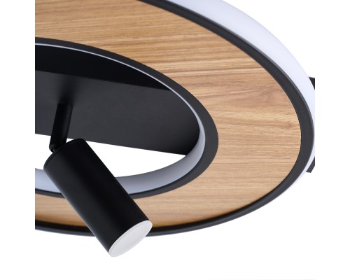 Потолочный светильник F-Promo 4438-2C Olika LED*40W, 3200LM, 3000-6000K, пульт L430*W400*H170мм