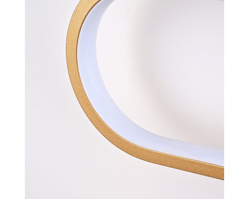 Потолочный светильник Favourite 4075-2C Planar LED*50W, 2200-4200LM, 3000-6000K, remote control L1000*W120*H160мм