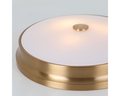 Потолочный светильник Favourite 2375-3C Pannikin 3*E27*40W D410*H100мм