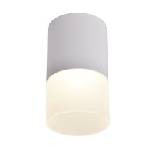 3069-1C, потолочный светильник, D64xH110, LEDx5W, 400LM, 4000K, IP20, included