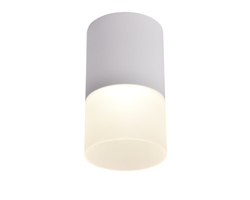 3069-1C, потолочный светильник, D64xH110, LEDx5W, 400LM, 4000K, IP20