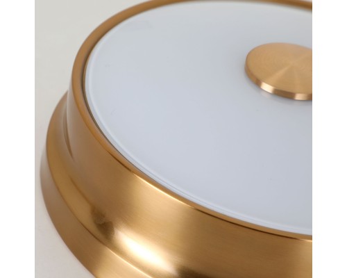 Потолочный светильник Favourite 2375-2C Pannikin 2*E27*40W D255*H100мм