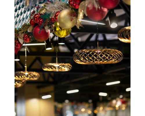 Подвесная люстра Favourite 4679-1P Spring LED*6W, 500LM, 3000K D400*H325/2700мм