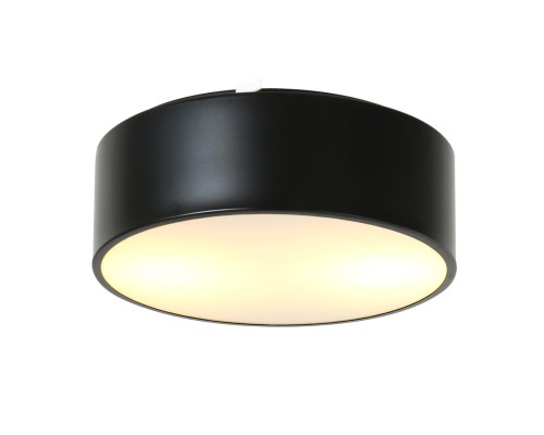 Потолочный светильник Favourite 1514-2C1 Cerchi черный