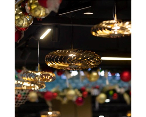 Подвесная люстра Favourite 4679-1P Spring LED*6W, 500LM, 3000K D400*H325/2700мм