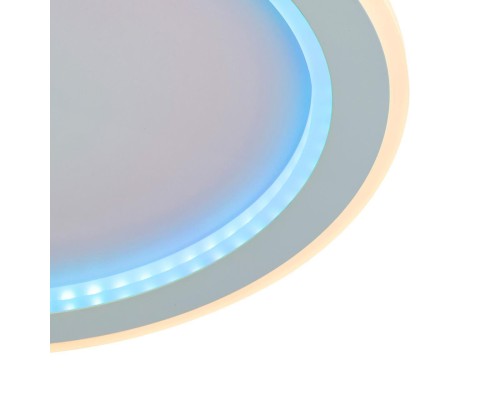 4697-4C, потолочный светильник, D450xH55, LEDx24W, 1200LM, 3000-6000K, included, remote control