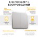 Кнопка-выключатель беспроводной FERON, TM82 230V, 500W, двухклавишный, серебро