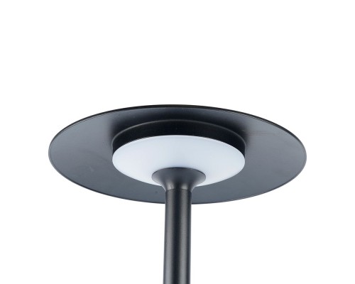 Светильник уличный светодиодный Feron DH704, 6W, 280Lm, 4000K, черный