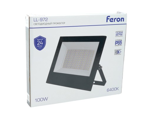 Светодиодный прожектор Feron LL-972IP65 100W 6400K