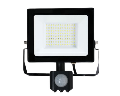 Светодиодный прожектор Feron с датчиком LL-909 IP65 100W 6400K