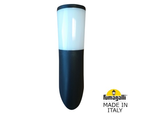 Светильник уличный настенный FUMAGALLI AMELIA-FS DR2.571.000.AYE27