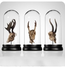 Аксессуар Exhibit ImperiumLoft