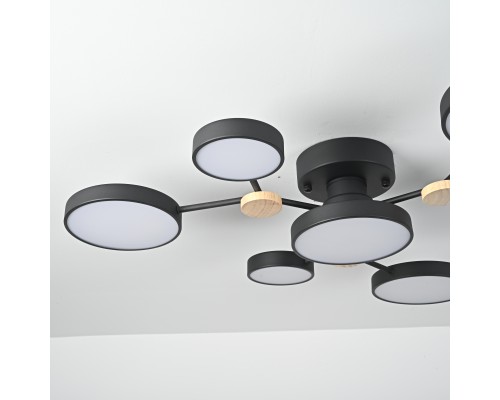 Потолочная люстра GAMMA D88 Black