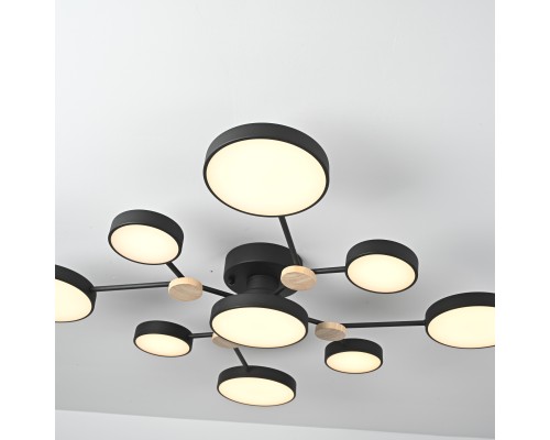 Потолочная люстра GAMMA D98 Black