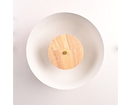 Потолочный светильник GLOBEMI RED D38 ImperiumLoft