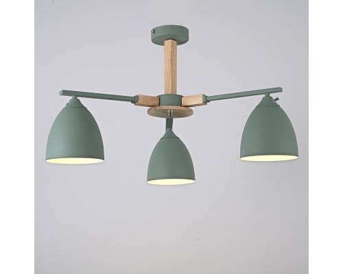 Потолочная люстра NOA 3 Mint