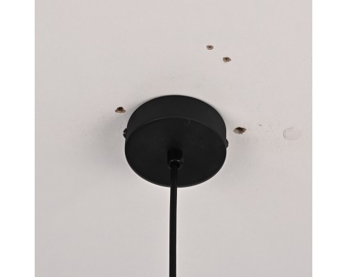 Подвесной светильник NORD A D18 Black/Transparent ImperiumLoft